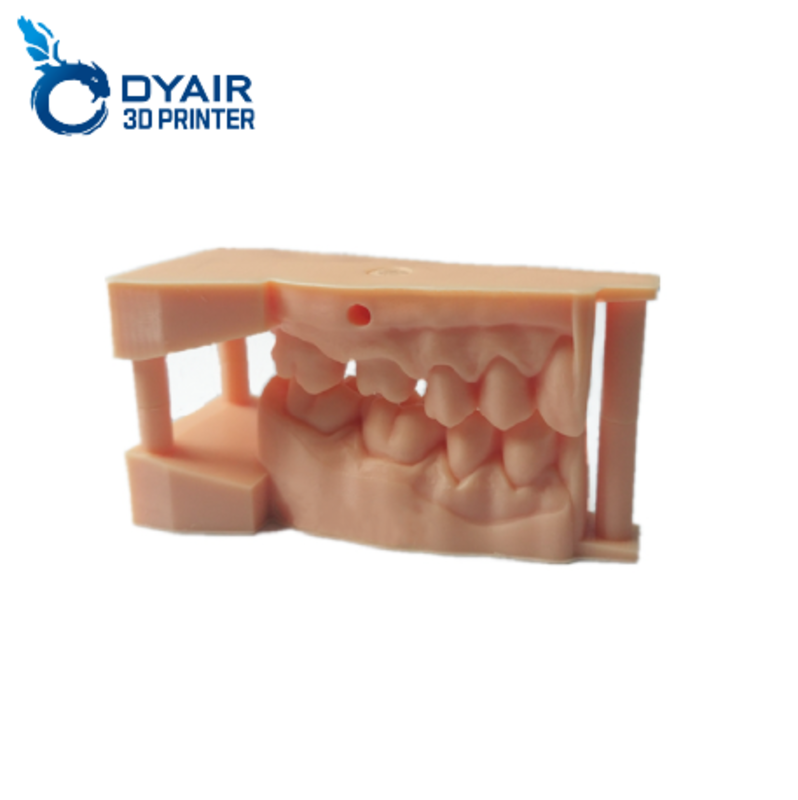Teeth Model Resin [LCD, DLP 전용] - DYAIR